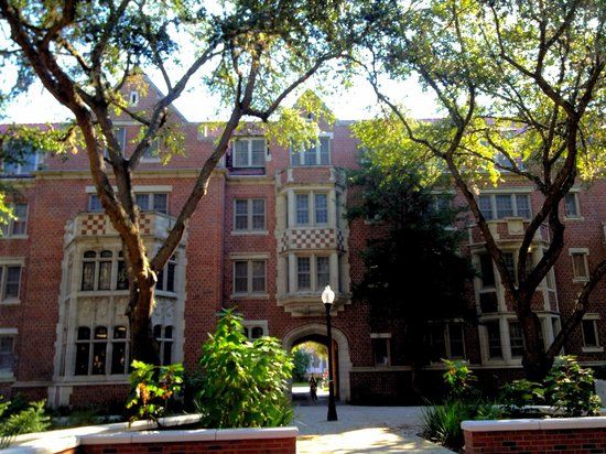 University of Florida